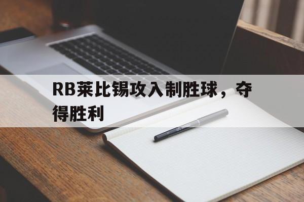 xingkong-RB莱比锡攻入制胜球，夺得胜利